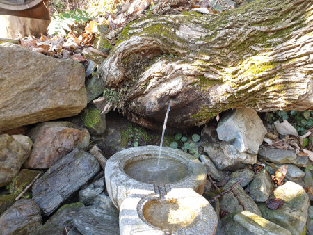 Photos taken directly to the place in Goesan Sanmagiyet-gil (no copyright or property rights issues)の写真素材