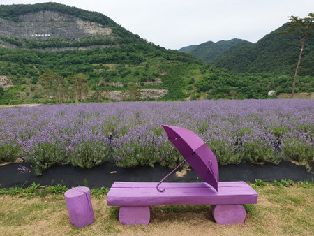 This is a photo taken by myself and the copyright is clearly held.の写真素材