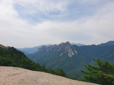 This is a photo I took myself and I definitely own the copyright. It is a natural photo, and there are no elements that violate property rights or portrait rights.の写真素材