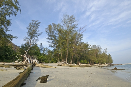 Beach of Adang island, Thailandの写真素材