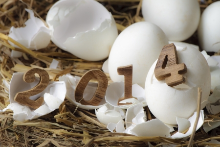 Happy New Year 2014, eggs conceptの写真素材