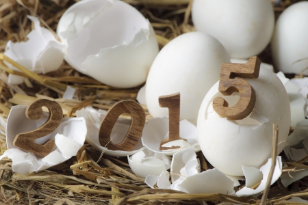 Happy New Year 2015, eggs conceptの写真素材