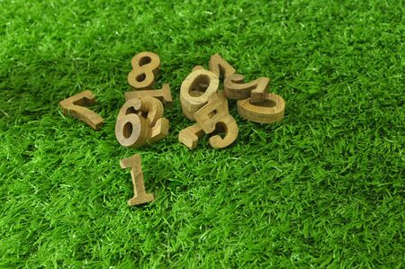 Wooden numbers style on green grass