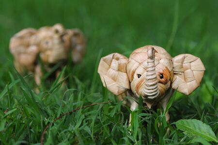 Elephant rattan handmade standing through tall grassの写真素材