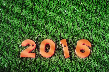 Happy New Year 2016, nature concept and colorful number ideaの写真素材