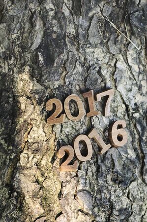 Happy New Year 2016, nature concept and wood number ideaの写真素材