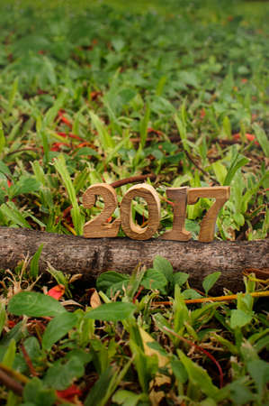 Happy New Year 2017, nature concept and wood number idea