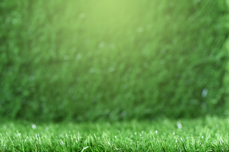 Fresh green grass background conceptの写真素材