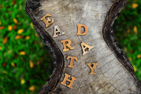 Earth day word on wood background for save the earth campaignの写真素材