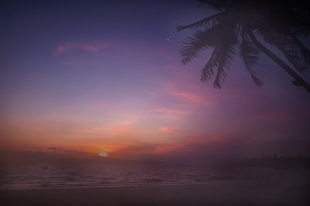 Views of sunrise with coconut palm trees on tropical beach background, happy summer holiday conceptの写真素材