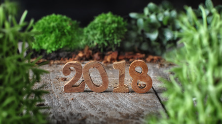 Wood number 2018 with plants on wooden background, happy new year concept and nature decorative ideaの写真素材