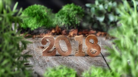 Wood number 2018 with plants on wooden background, happy new year concept and nature decorative ideaの写真素材