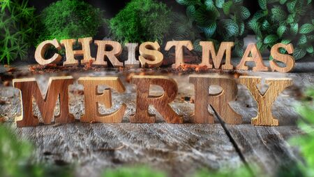 Word of Merry Christmas with plant on wooden background, nature decorative ideaの写真素材