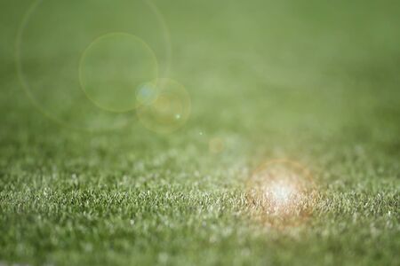 Green grass with len flare background, selective focus conceptの写真素材