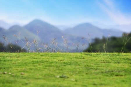 Grass on blur mountain landscape view background, shallow depth of field ideaの写真素材