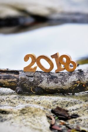Wooden number 2018 on branch with puddle background
