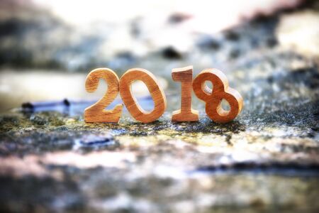 Wooden number 2018 on rock floor on tropical rainforestの写真素材