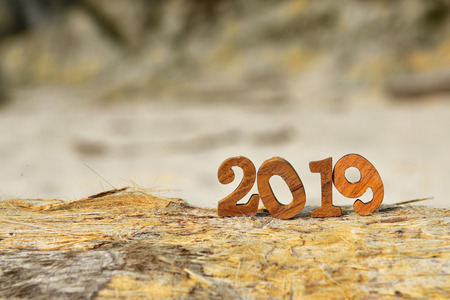 Happy new year 2019, wooden number 2019 on timber, happy new year concept and happy summer holiday...