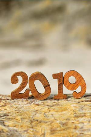 Happy new year 2019, wooden number 2019 on timber on beach background, happy new year concept and...