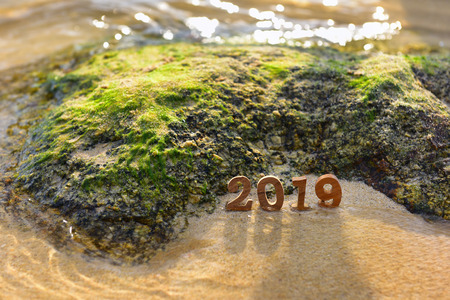 Wooden number 2019 on sand on tropical beach, happy new year concept and happy summer holiday idea