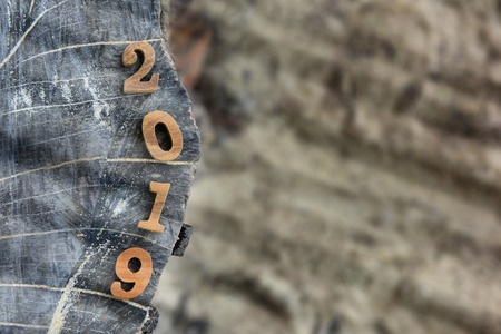 Top view of number 2019 on on wood log, nature concept and wood number ideaの写真素材