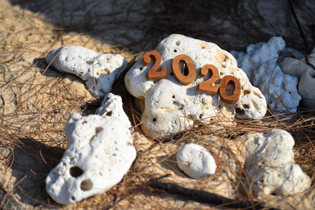 Wood number 2020 on coral background, happy new year concept and coral decorative ideaの写真素材