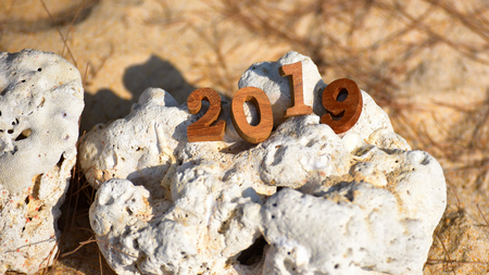 Wood number 2019 on coral background, happy new year concept and coral decorative ideaの写真素材