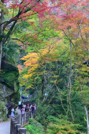 Osaka Japan - November 24, 2019: View along the way to Minoh waterfall at Minoo parkのeditorial素材