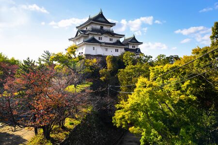 WAKAYAMA JAPAN - November 2019: Wakayama castle on blue sky background. Fall colour conceptのeditorial素材