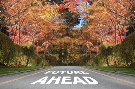 Future ahead word on road surface with autumn season background, business success concept and fall...