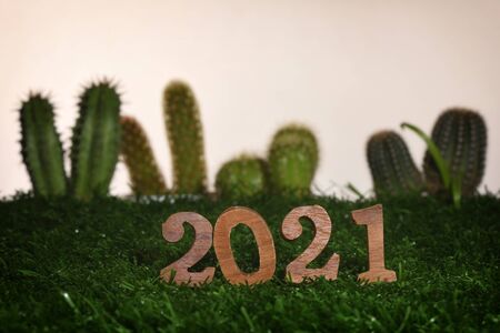 Wooden number 2021 on green grass with cactus and succulents plant background, happy new year...