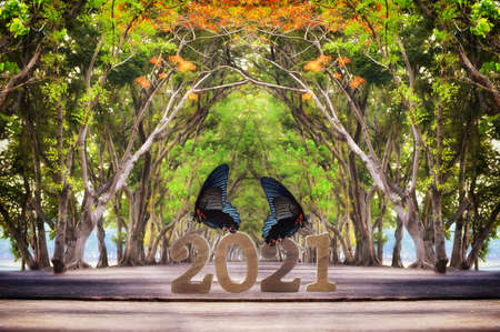Wooden number 2021 with butterfly and tree tunnel on wooden plank, happiness new year concept and...