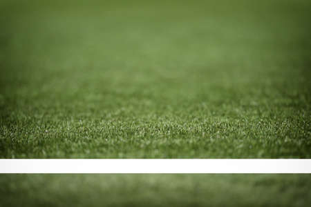 Selective focus of green grasses background. Copy space or blank concept and natural background idea