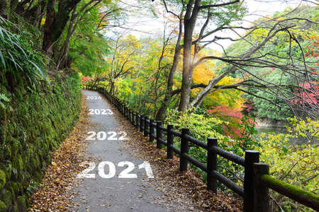 New year 2021 to 2024 on walkway in the mountain with maple trees, happy new year concept and natural background idea