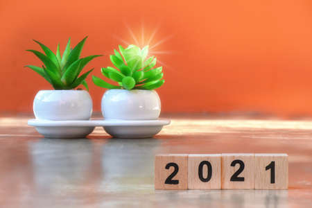 Cube number 2021 and plant tree on cement on amber background, happy new year concept and save the...
