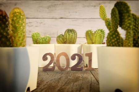 Number 2021 and cactus plant with sunlight on wooden table background. Happy new year concept and...