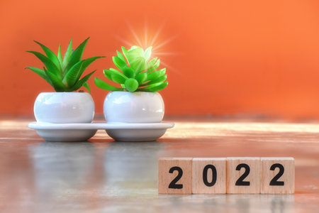 Cube number 2022 and plant tree on cement on amber background, happy new year concept and save the earth and sustainable lifestyle ideaの写真素材