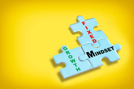 Growth mindset and fixed mindset written on blue puzzle jigsaw with shadow on yellow background. Potential development concept and good attitude motivation ideaの写真素材
