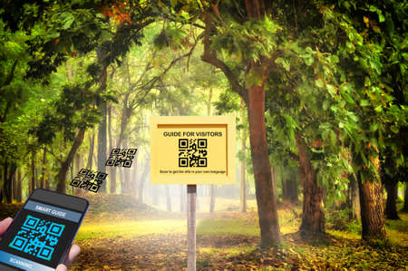 Hand holding smartphone with scanning QR code travel guide screen with guide for visitors sign on beautiful mystical forest in the morning background. Smart technology concept and qr code ideaの写真素材