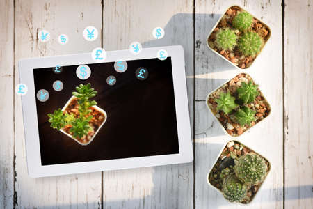 Green technology business with currency symbol on computer tablet with cactus on desk background. Clean energy to sustainable future concept and alternative energy ideaの写真素材