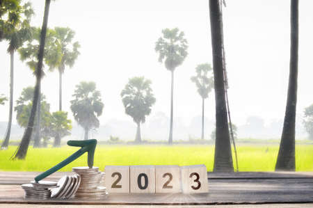 New year 2023 on wooden cube and stack of coins with arrow upwards on super palm tree with fog in the morning. Agriculture business concept and recovery ideaの写真素材