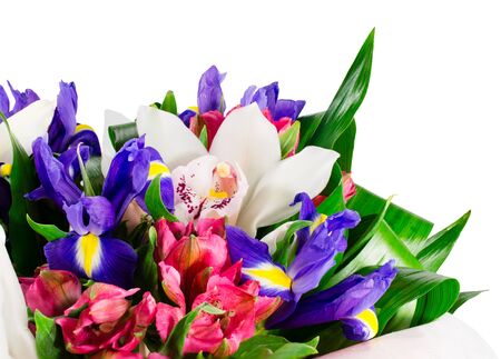 Basket of flowers orchids and irises isolated on whiteの写真素材