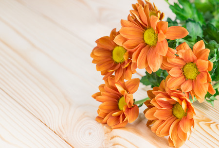 Orange chrysanthemum on a wooden backgroundの写真素材
