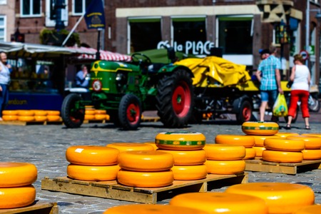 Orange, round Gouda soft delicious German cheeseの写真素材