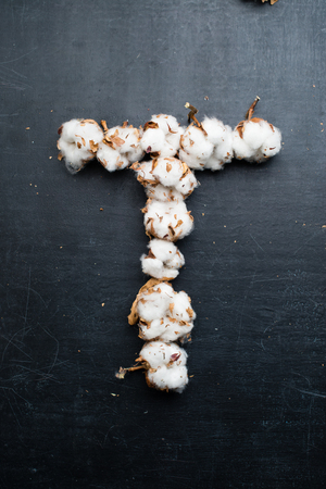 cotton flowers copy spaceの写真素材