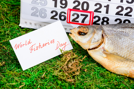 June 27 World fisheries Day on the calendar with stockfishの写真素材