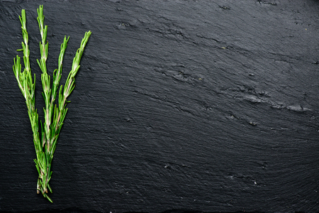 herbs on dark background with copyspace for text, top viewの写真素材