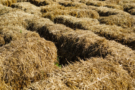Close-up of hay bales, background, texture