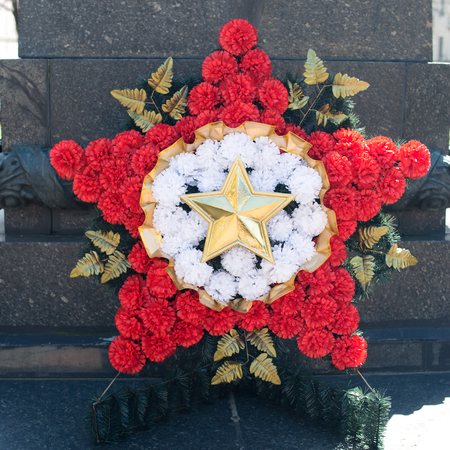 Wreath in the form of a star from a carnationの写真素材