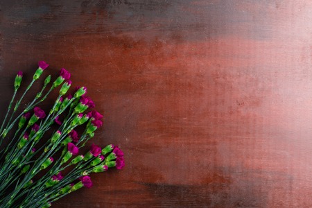 Fresh carnation flower shabo on an abstract background of mahogany, copyspace, flat layの写真素材